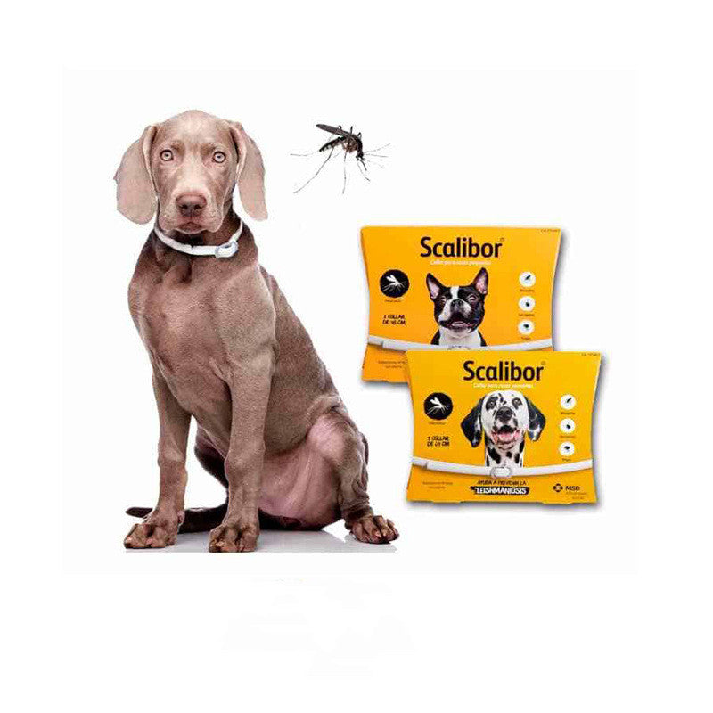 Dog/Cat Flea Deworming Collar