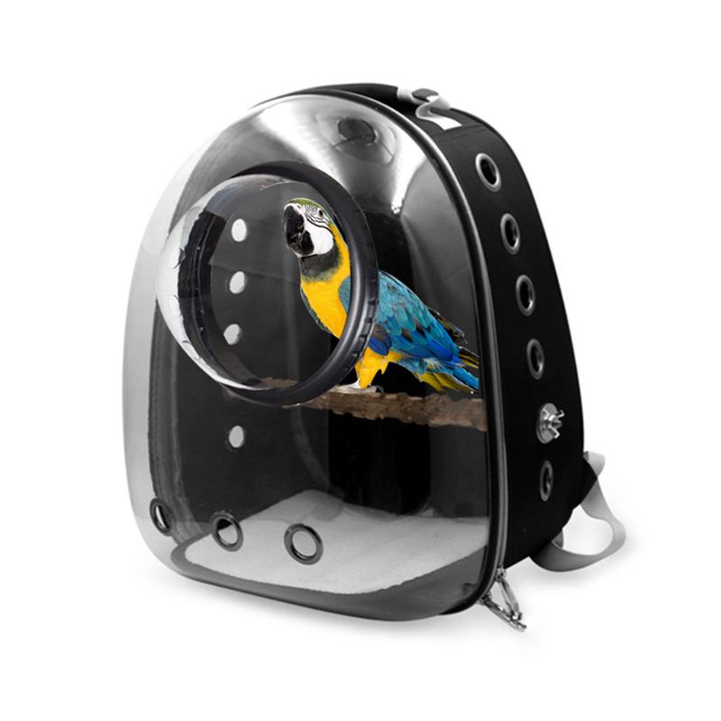Sac de transport perroquet Starling, sac portable de sortie multifonctionnel