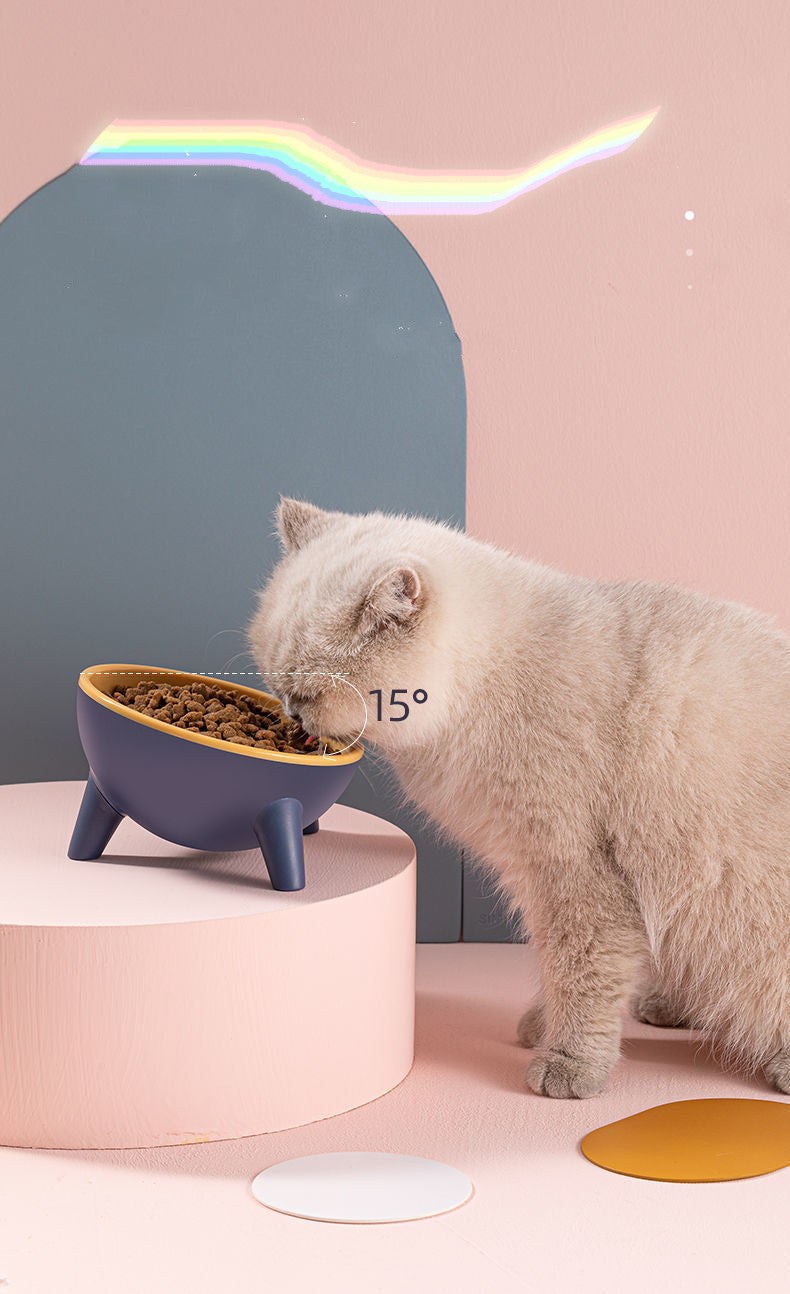 Gamelle pour chat et chien avec support