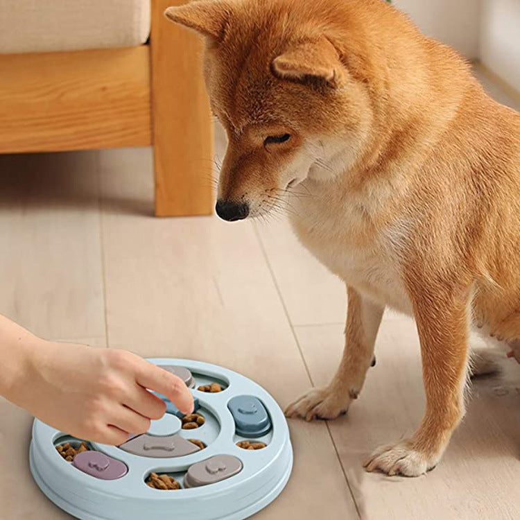 Bols de nourriture ludiques pour chiens