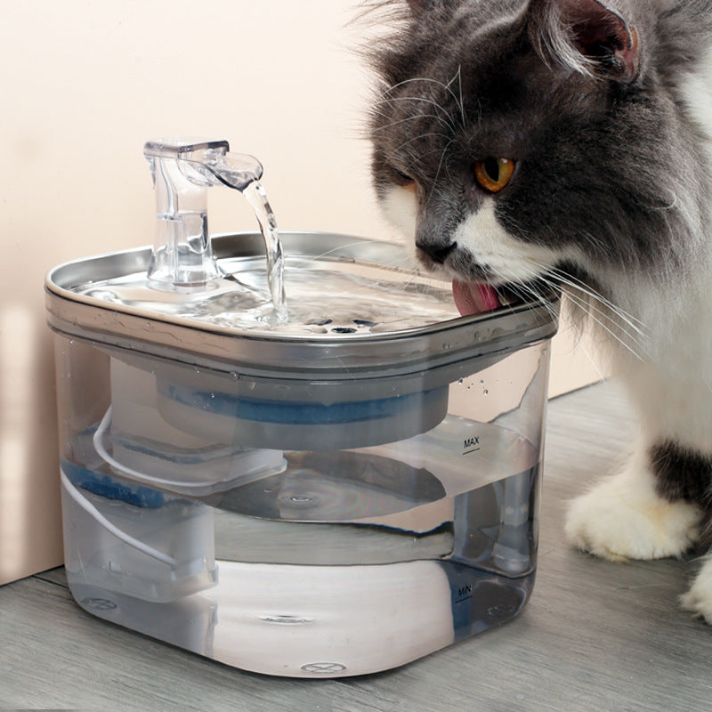 Distributeur d'eau automatique en acier inoxydable pour animaux de compagnie (chats/chiens)