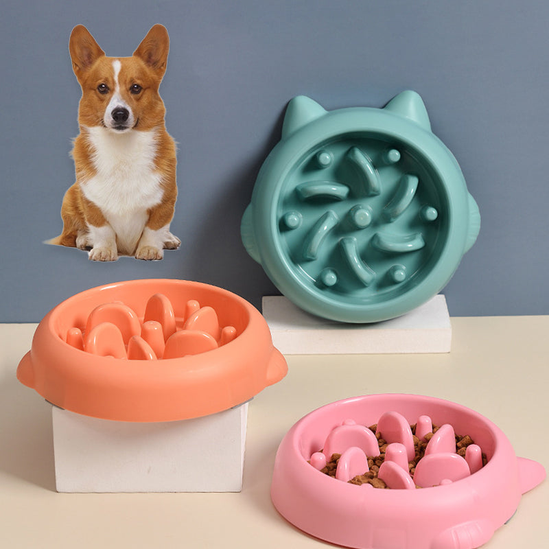 Gamelles anti-glouton pour animaux de compagnie (chien, chat)