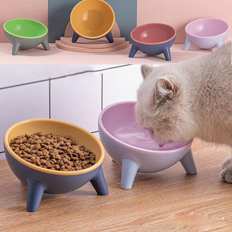 Gamelle pour chat et chien avec support