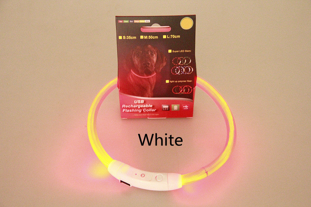 Pet Flashing Collar USB