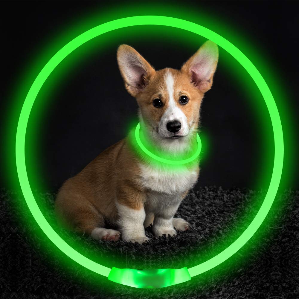 Collier lumineux pour animaux USB