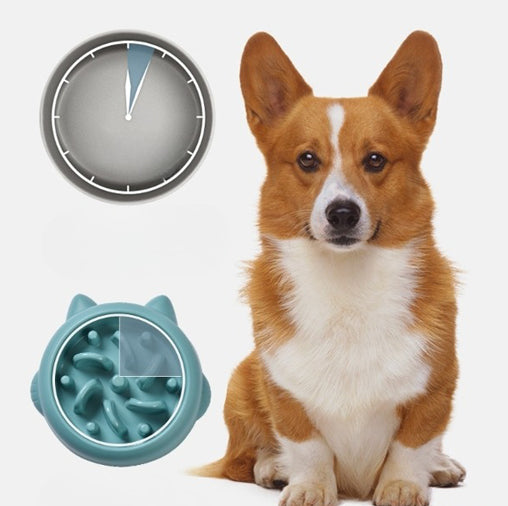 Gamelles anti-glouton pour animaux de compagnie (chien, chat)