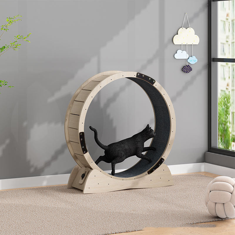 Rouleau de tapis roulant silencieux pour chat, grand, pour l'exercice de perte de poids