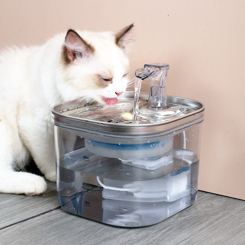 Distributeur d'eau automatique en acier inoxydable pour animaux de compagnie (chats/chiens)