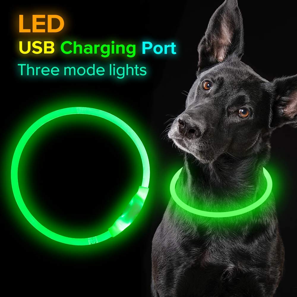 Collier lumineux pour animaux USB
