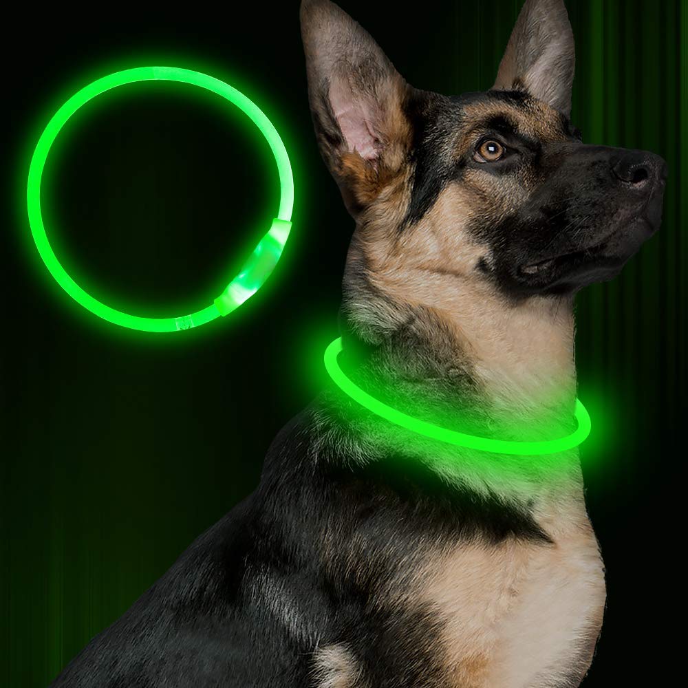 Pet Flashing Collar USB