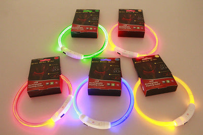 Collier lumineux pour animaux USB