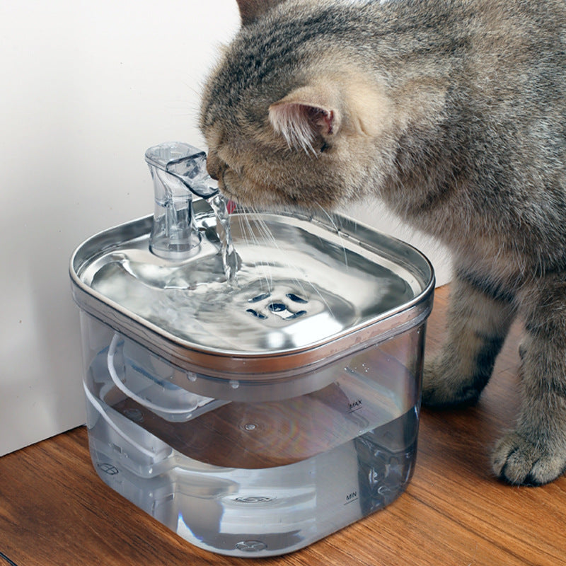 Distributeur d'eau automatique en acier inoxydable pour animaux de compagnie (chats/chiens)